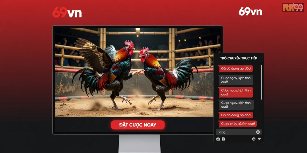 Minh họa giao diện nền tảng xem đá gà trực tiếp chất lượng cao với stream HD mượt mà